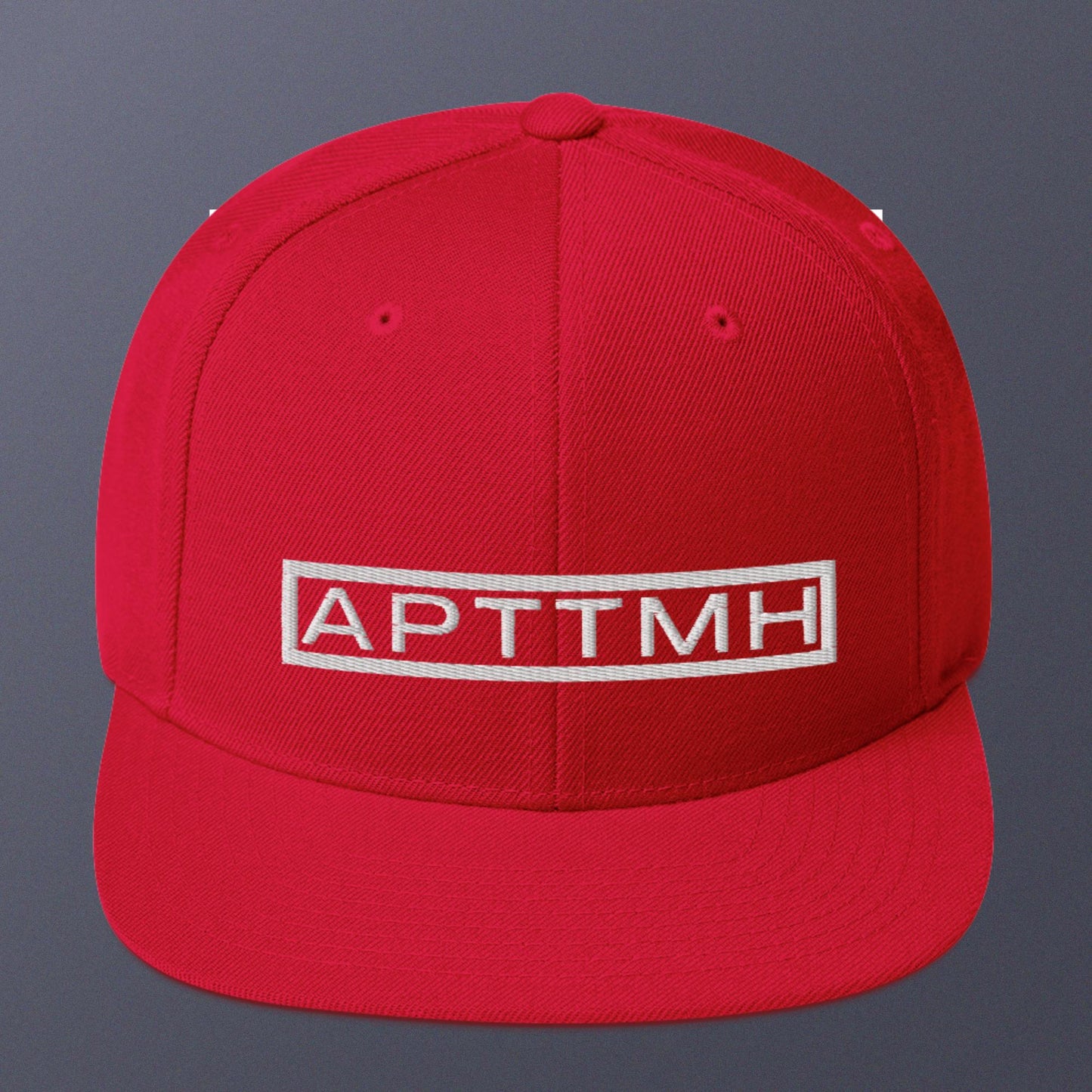 APTTMH Snapback Hat